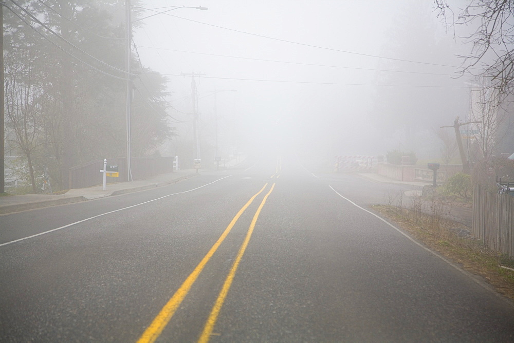 Foggy Expanse Of Road