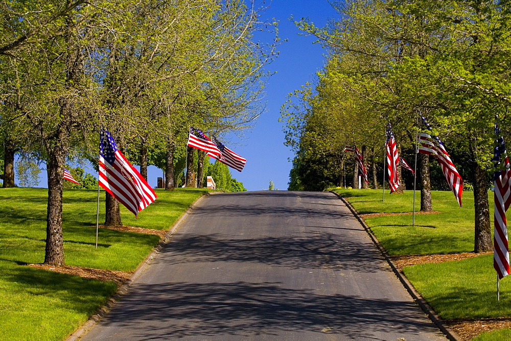 American Flags Along A Road In Oregon, Usa