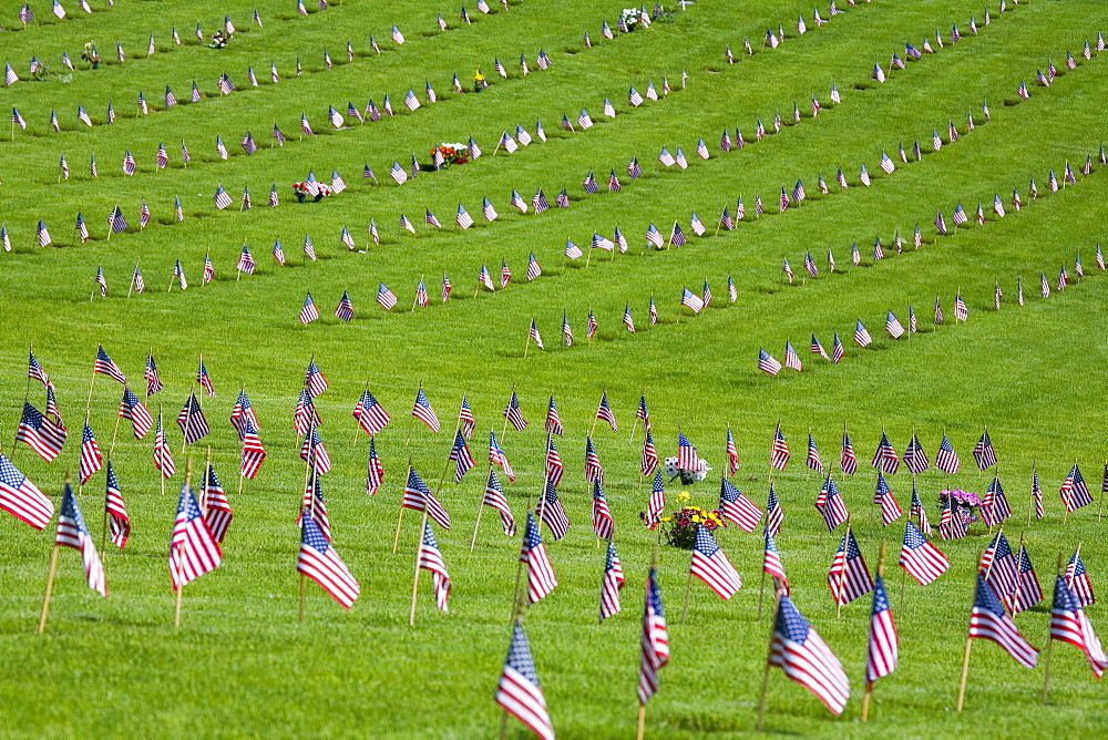 American Flags In A Graveyard During Memorial Day, Oregon, Usa