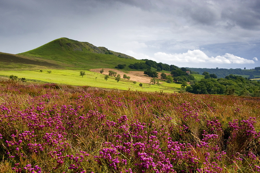 Rolling Hills, North Yorkshire, England