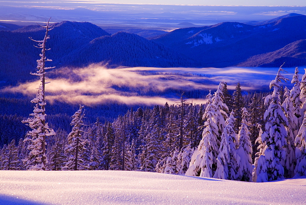 Winter Snow, Cascade Range, Oregon, Usa