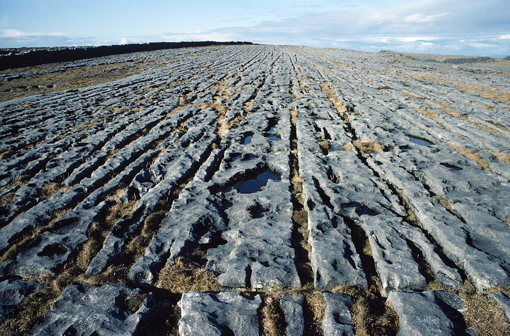 Limestone Pavements, Inishmaan, Aran Islands, Co Galway, Ireland