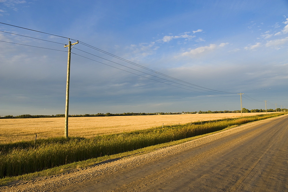 Country Road, Manitoba, Canada