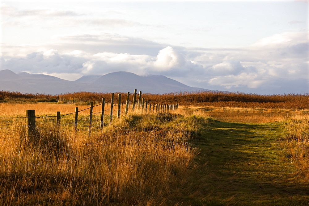 Countryside With Mountains In The Distance, Argyll And Bute, Scotland