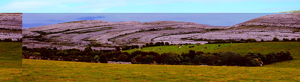 The Burren, County Clare, Ireland