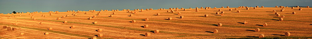 County Cork, Ireland, Hay Bales After The Harvest Near Mallow