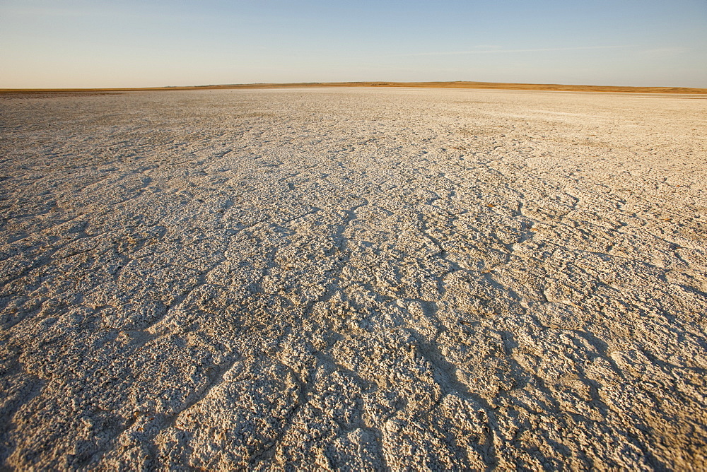 Dry Ground Reaching Into The Horizon