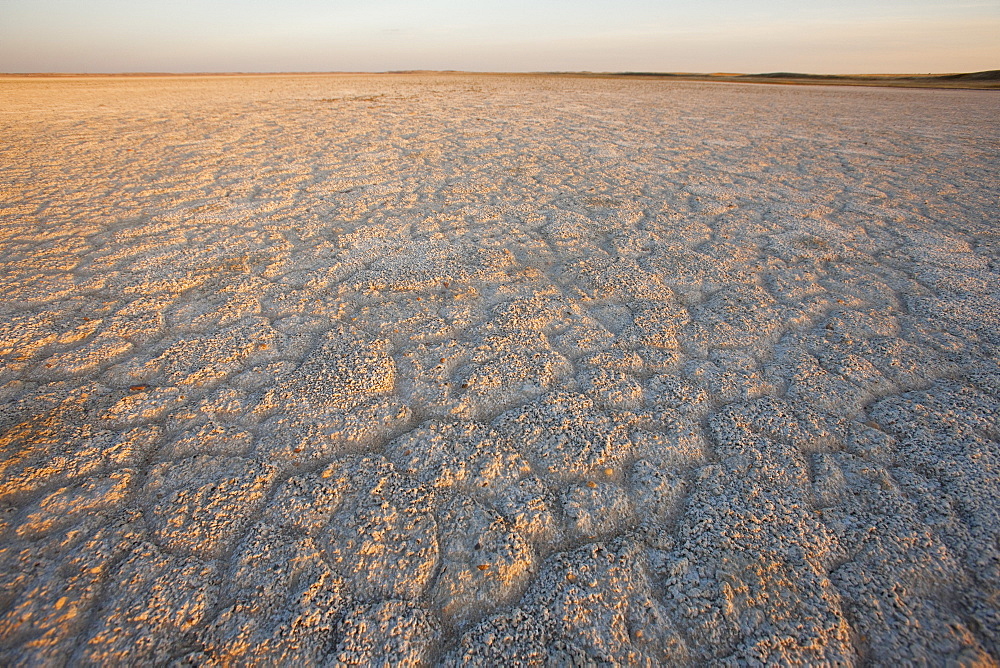 Dry Ground Reaching Into The Horizon