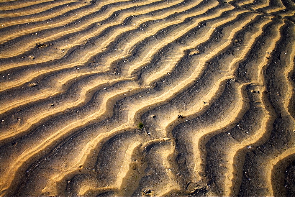 Zanzibar, Tanzania, Sand Patterns