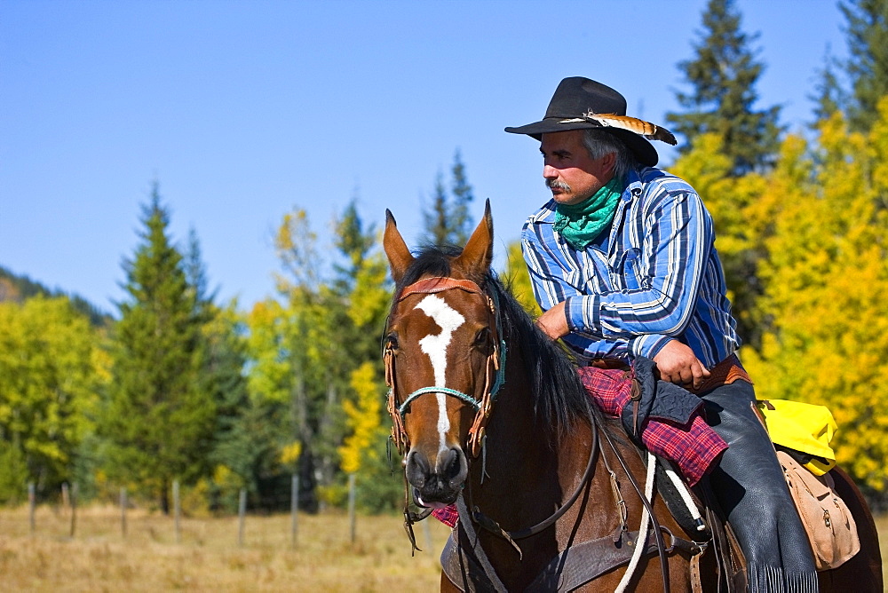 Cowboy Sitting On His Horse