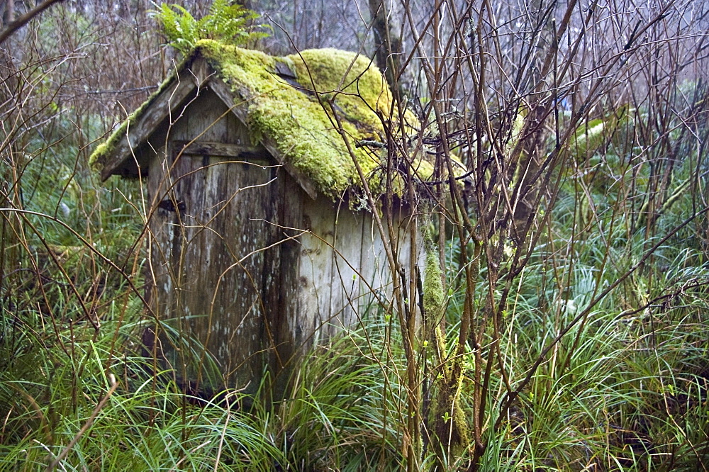 Outhouse, Tofino, British Columbia, Canada