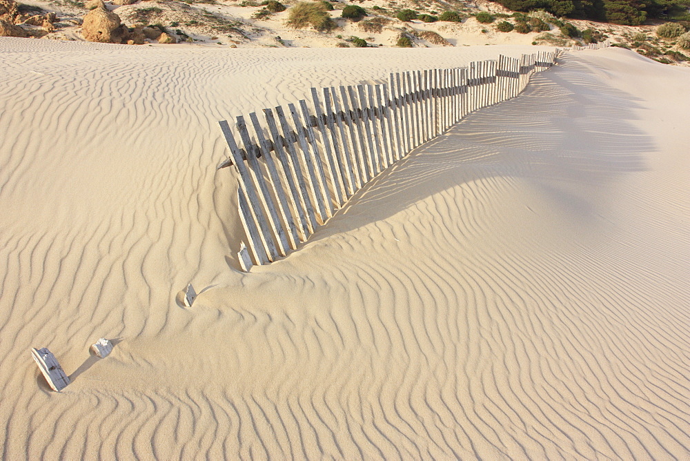 Fence In The Sand, Bolongna, Andalucia, Spain