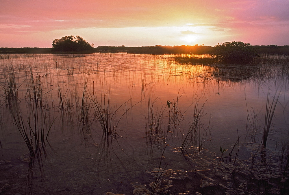 Sunrise Over Marsh, Everglades National Park, Florida, Usa