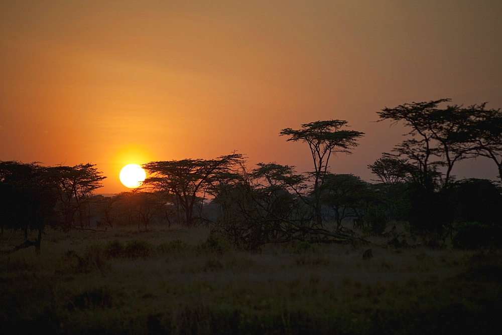 Sunrise On An African Landscape