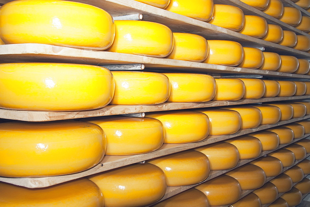 Cheese Factory