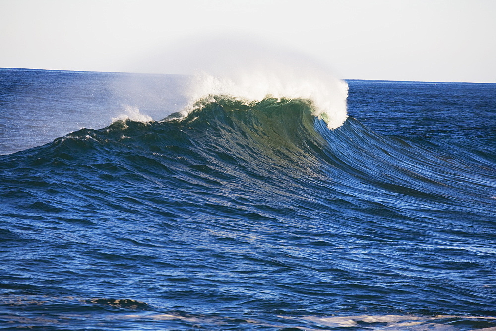 Wave, Oregon Coast, Oregon, Usa