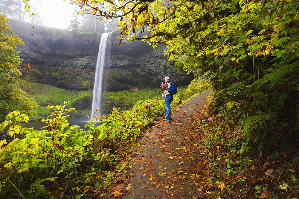 Silver Falls State Park, Oregon, United States Of America, Hiker Along South Falls In Autumn