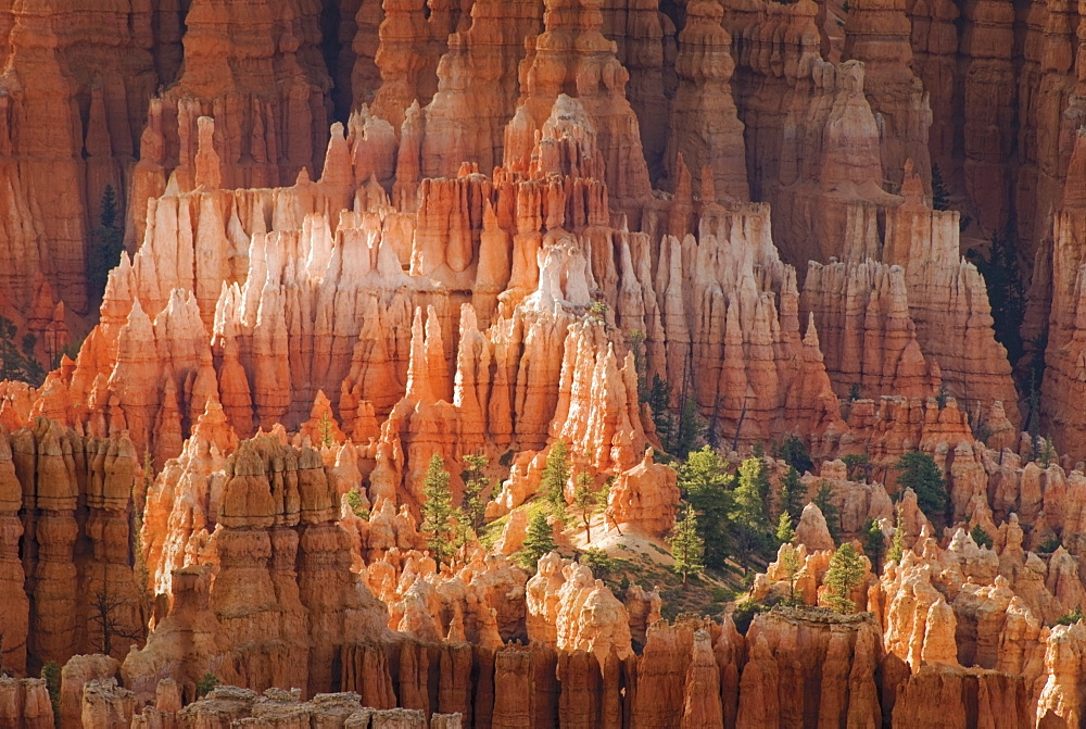 Needle Rock Formations