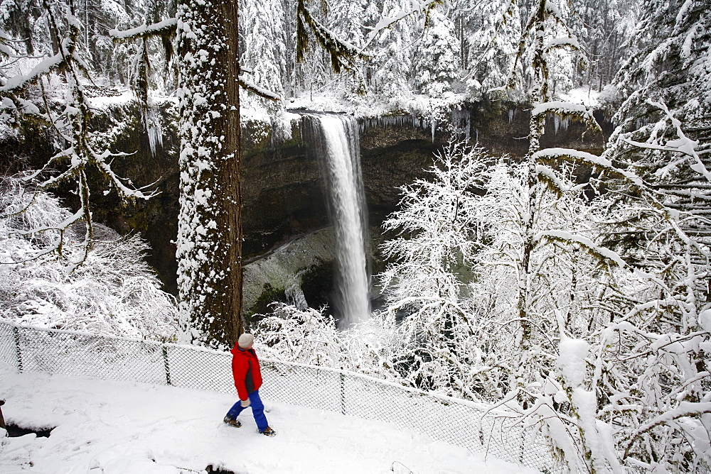 A Person Standing In The Snow And Watching A Waterfall In Winter