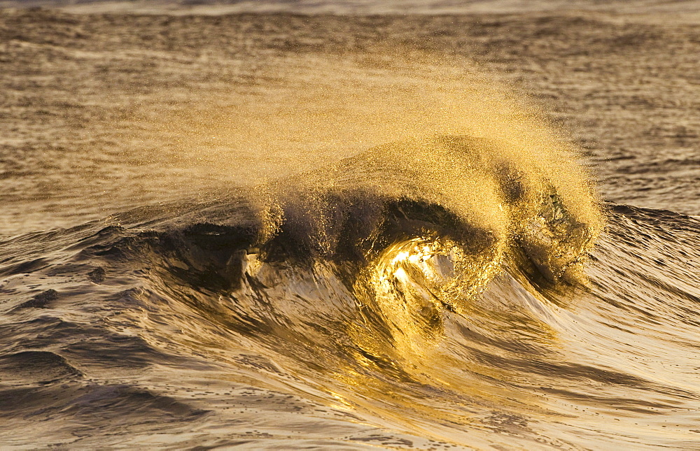 Hawaii, United States Of America, Wave Breaks In Twin Arcs, Catching Sunset Light