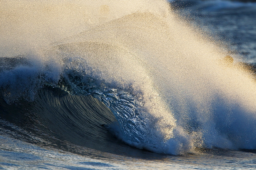 Hawaii, United States Of America, A Breaking Wave