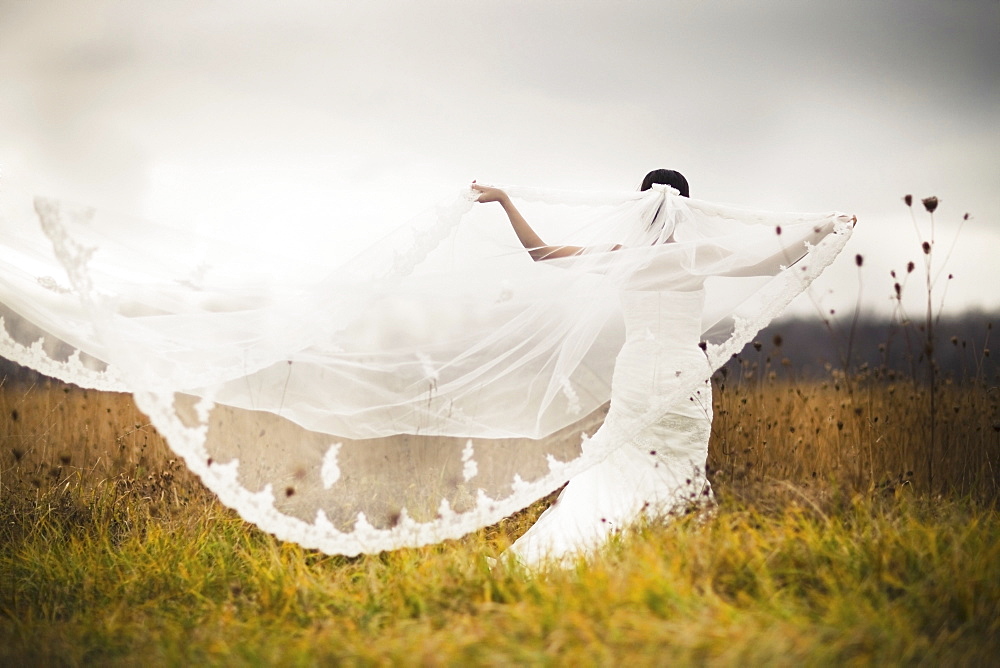 A Bride Standing In A Field And Holding Out Her Veil In The Wind, Ontario, Canada