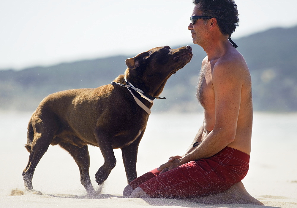 A Man And His Dog On Punta Paloma Beach Along Costa De La Luz, Tarifa, Cadiz, Andalusia, Spain