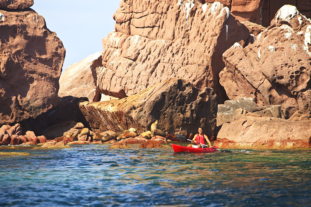 A Tourist Paddles In A Red Boat At Los Islotes National Marine Park Espiritu Santo Island, La Paz Baja California Mexico