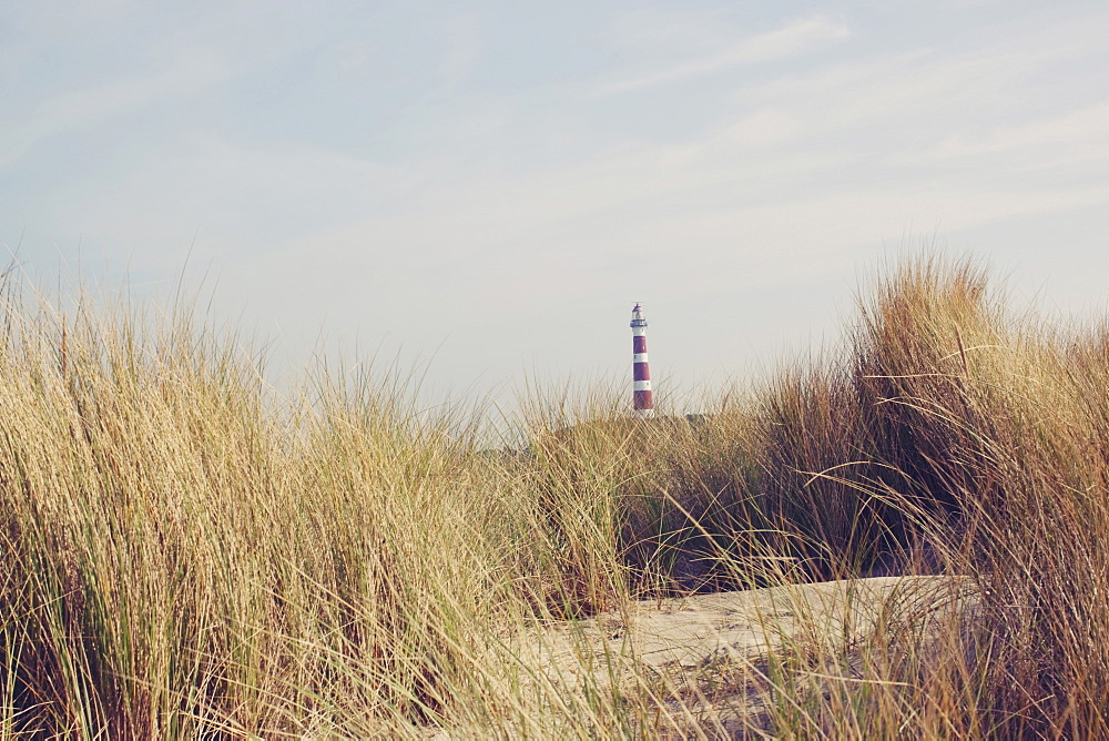 A Lighthouse Past The Reeds On The Beach, Ameland, The Netherlands