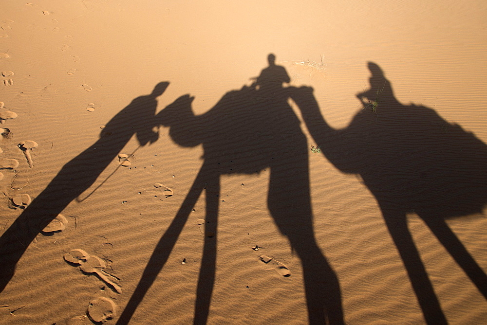 Shadow on the sand of people riding on camels