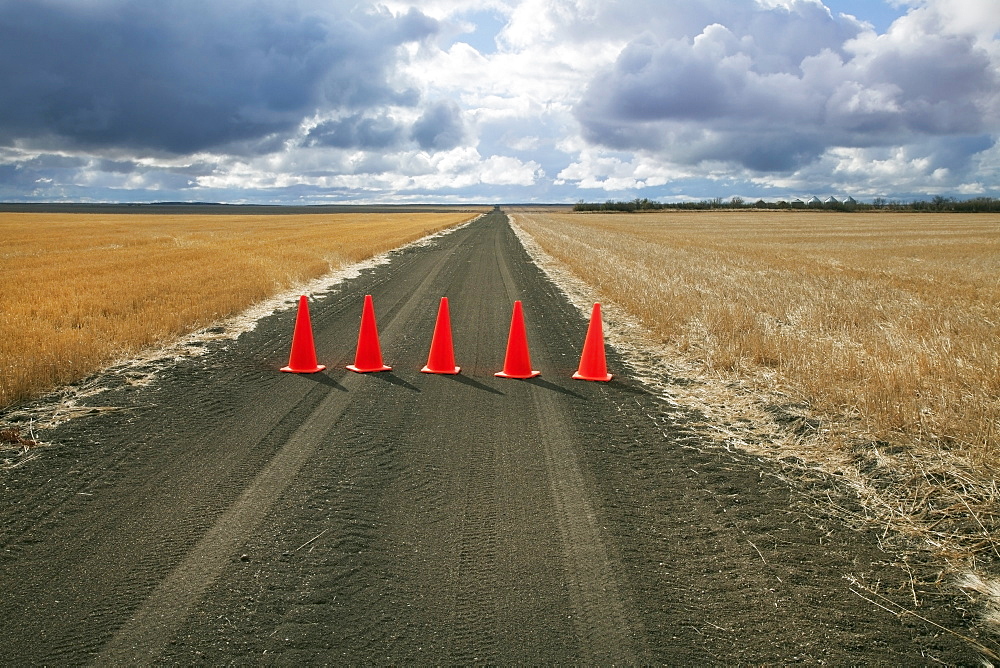 Safety cones lined up across a rural road, Saskatchewan canada