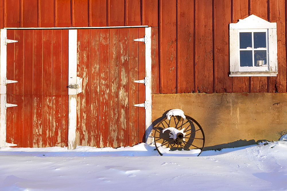 Old wagon wheel leaning against a red barn with freshly fallen snow on a farm near Edgewood in Northeast Iowa, Winter