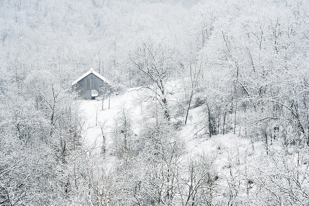 A barn surrounded by trees and snow in winter, Ohio, united states of america