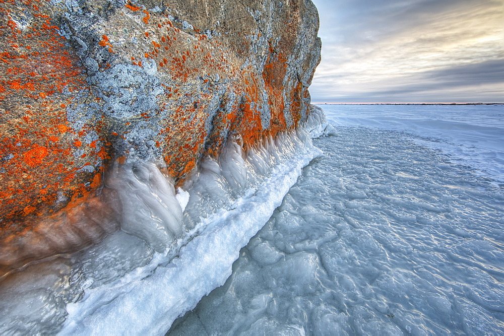 Large lichen covered rock in a frozen lake situated on the flats beside hudson's bay, Manitoba canada