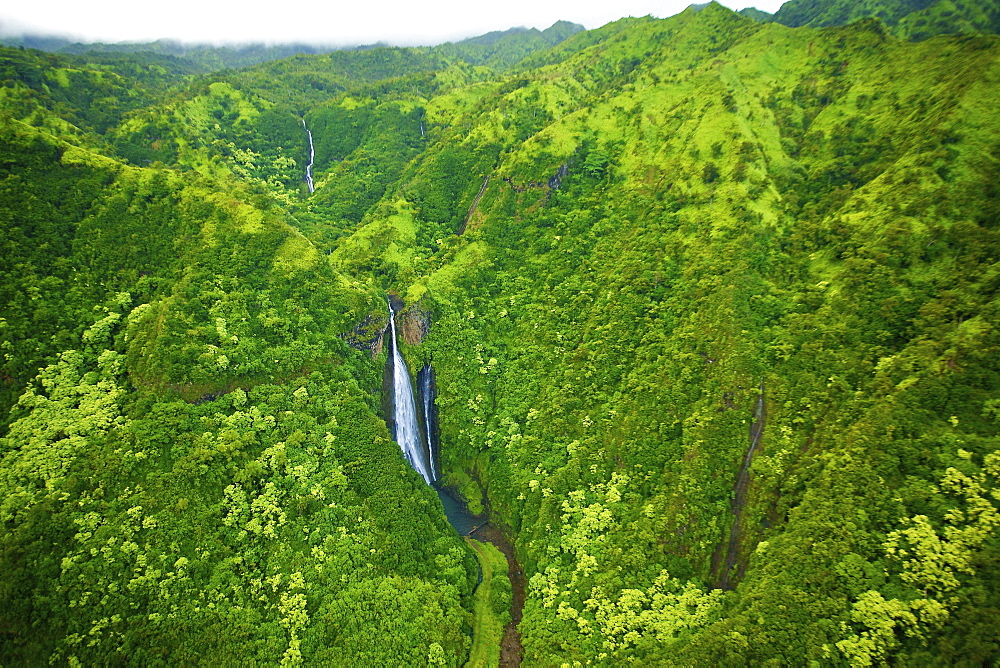 A stream flowing through the mountains covered with lush green trees, Hawaii united states of america