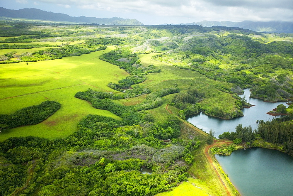 Landscape of lush trees and fields with mountains in the distance, Hawaii united states of america