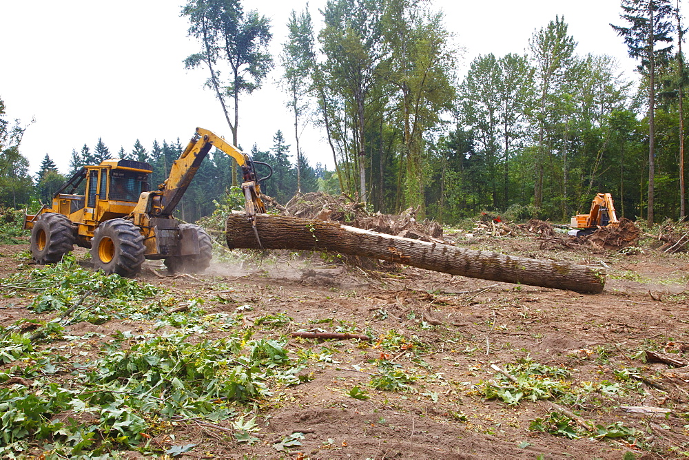 A Tractor With Grapple Moving A Log, Portland, Oregon, United States of America