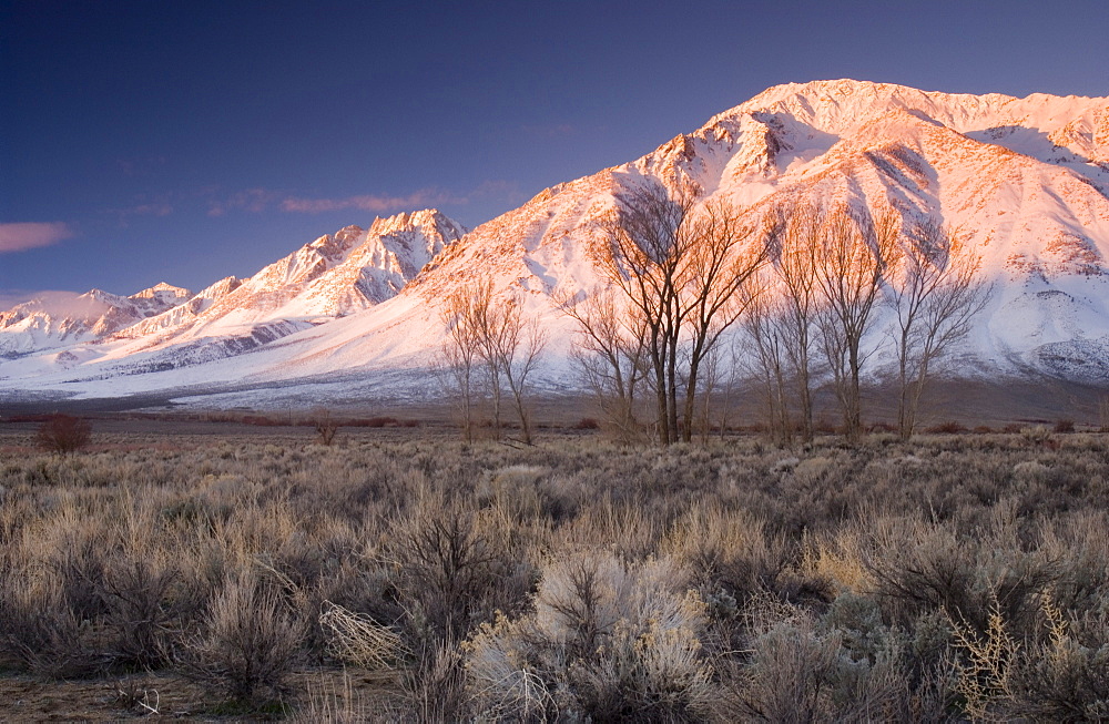 Sunrise On A Snowcapped Peak In The California Desert, Bishop, California, Usa