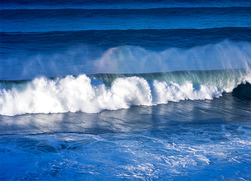 A Wave Breaks On The Central Oregon Coast, Florence, Oregon, United States Of America