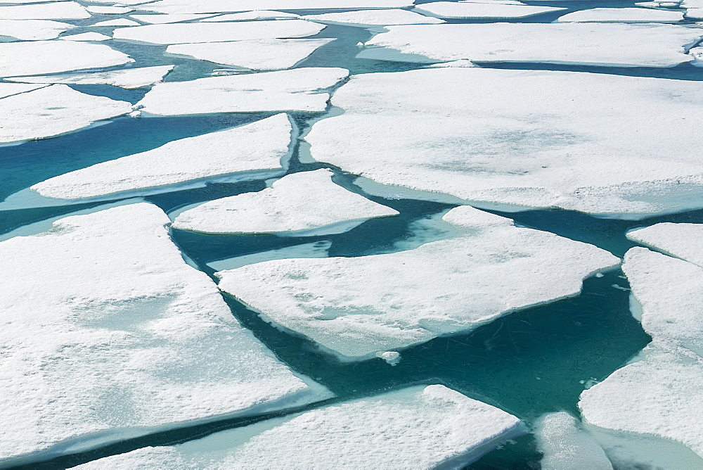 Ice Breaking Apart On The Surface Of Portage Lake In Springtime, Chugach National Forest, Portage, Alaska, United States Of America