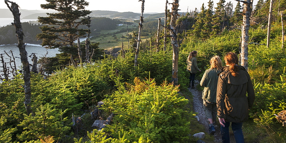 A Mother And Her Daughters Walk Down A Trail Along The Atlantic Coast, Newfoundland And Labrador, Canada