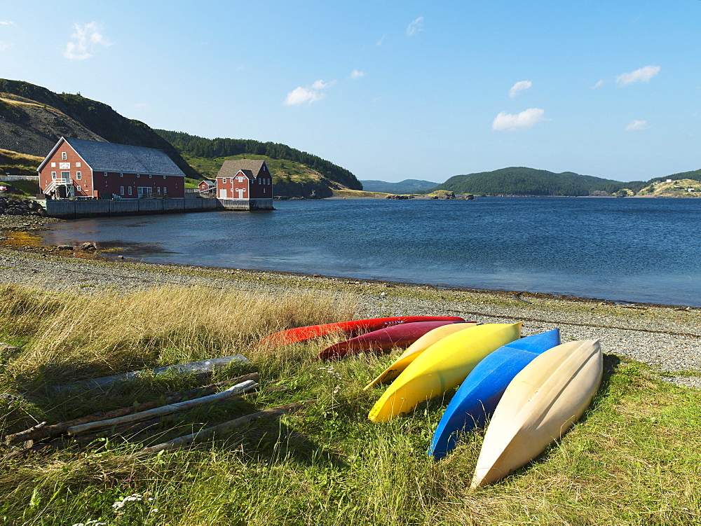 Colourful Canoes On The Grassy Shore At The Water's Edge, Trinity, Newfoundland And Labrador, Canada