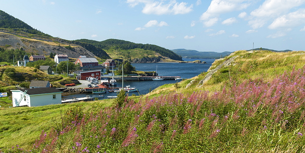 A Fishing Village Along The Coastline Of Newfoundland, Trinity, Newfoundland And Labrador, Canada