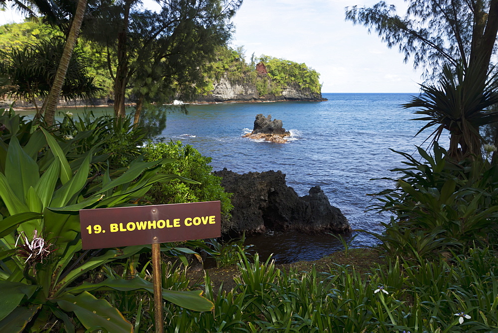 Blowhole Cove In Onomea Bay, Island Of Hawaii, Hawaii, United States Of America