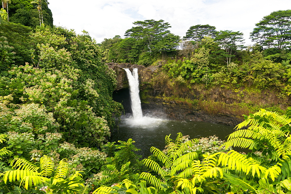 Rainbow Falls, Hilo, Island Of Hawaii, Hawaii, United States Of America