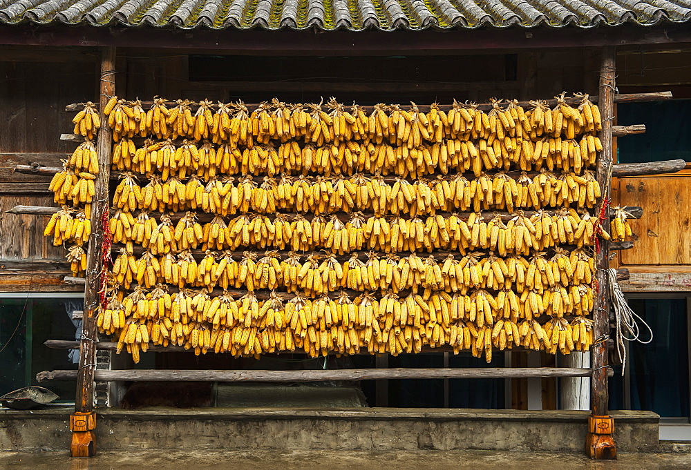 Corn Liquor Distillation Supplies, Tiger Leaping Gorge, Yunnan, China