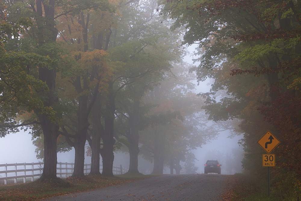 Country Road On A Foggy Afternoon Near Milton, Ontario, Canada