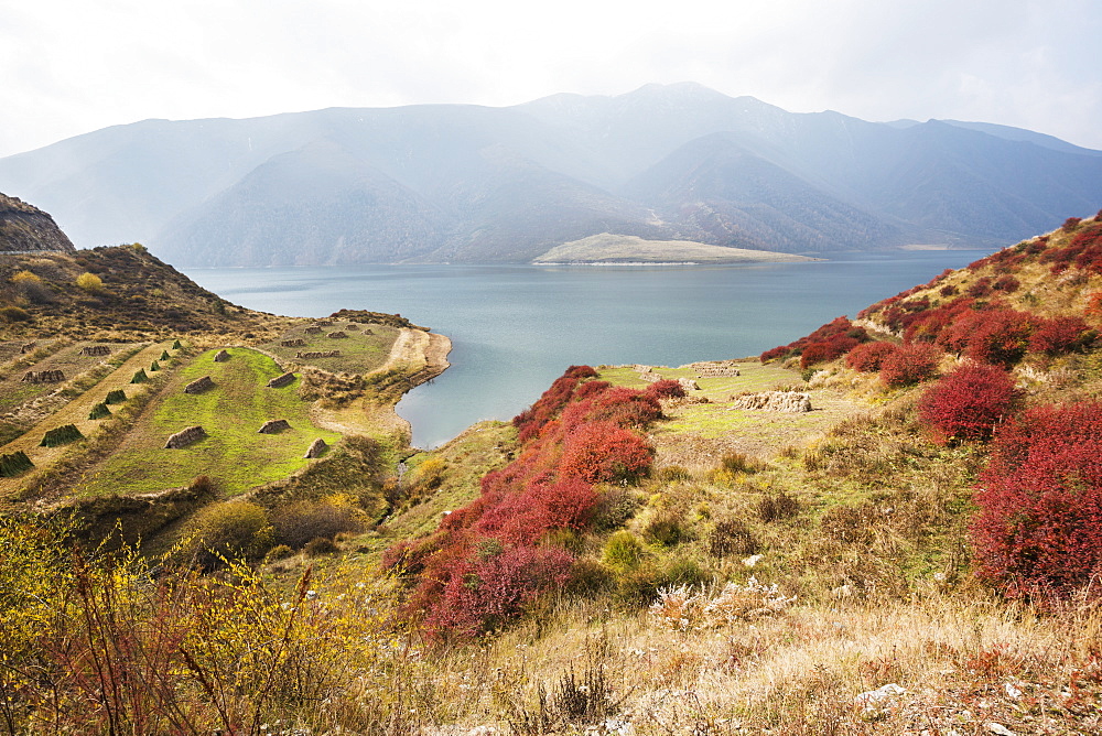 Red, Blue, Green And Yellow Colors Of Autumn In A Meadow Near Yangshan Dawan City, Tibet, China