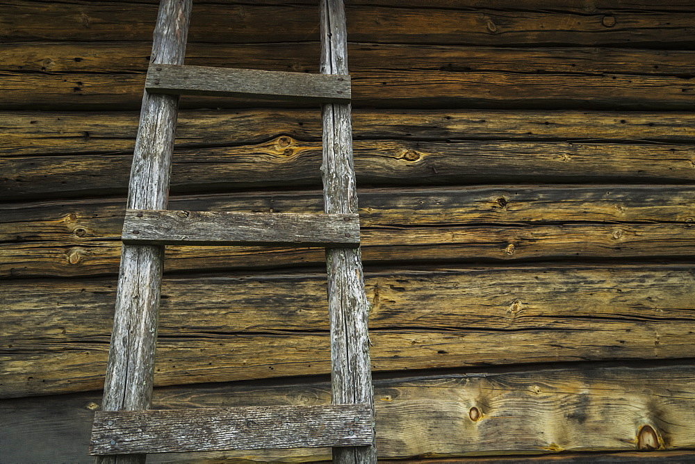 A Cross-Section Of An Old Log Home With A Matching Ladder, Eagle, Wisconsin, United States Of America