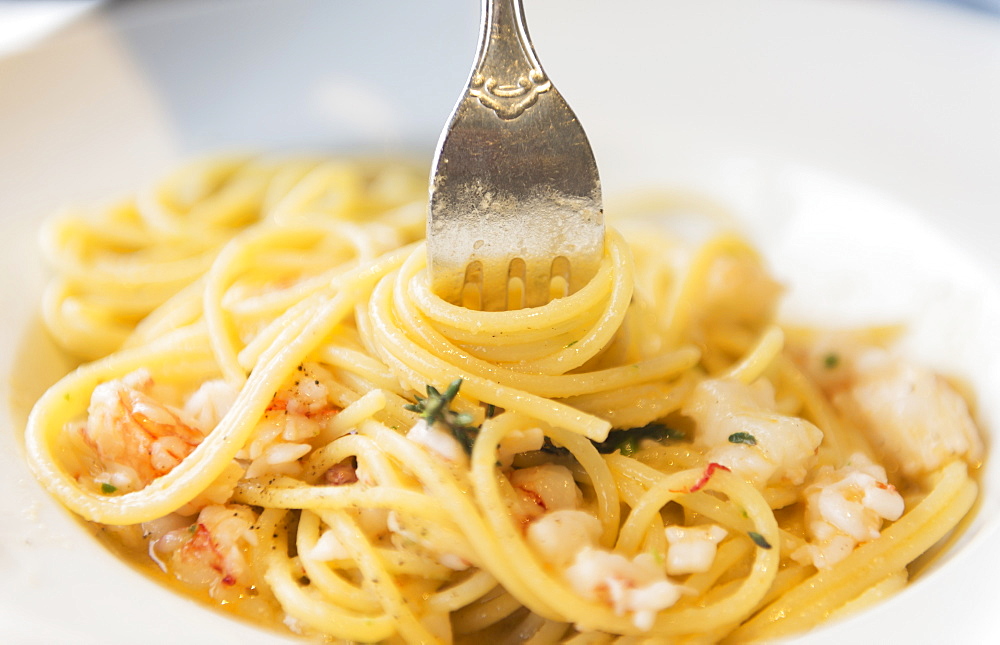 A Fork In A Pasta Dish, Liguria, Italy